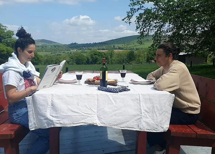Shepherd's Hut @ The Old Forge Glamping Campo de lujo