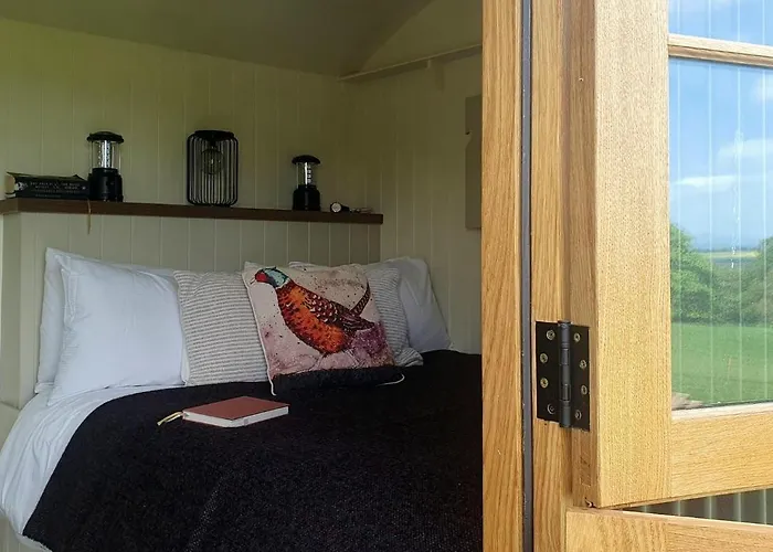 Shepherd's Hut @ The Old Forge Glamping Campo de lujo Tullow