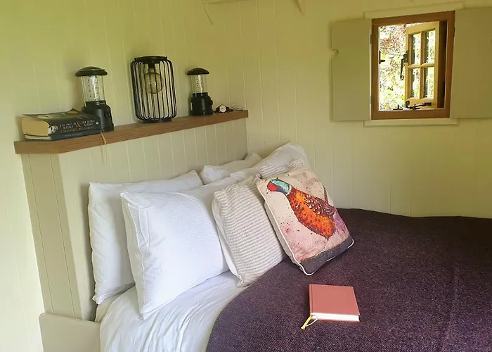 Shepherd's Hut @ The Old Forge Glamping Campo de lujo Tullow